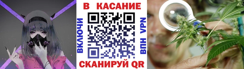 Как найти наркотики Грязовец МЕТАМФЕТАМИН  Бошки Шишки  АМФЕТАМИН  Мефедрон  СК  Гашиш 