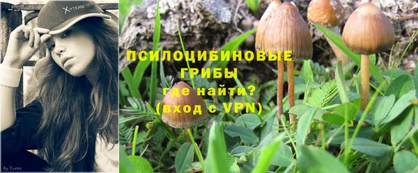 герыч Алексин