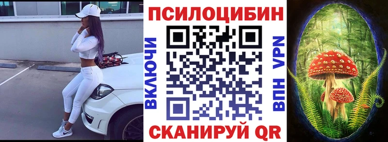 Галлюциногенные грибы мухоморы  где можно купить   Грязовец 