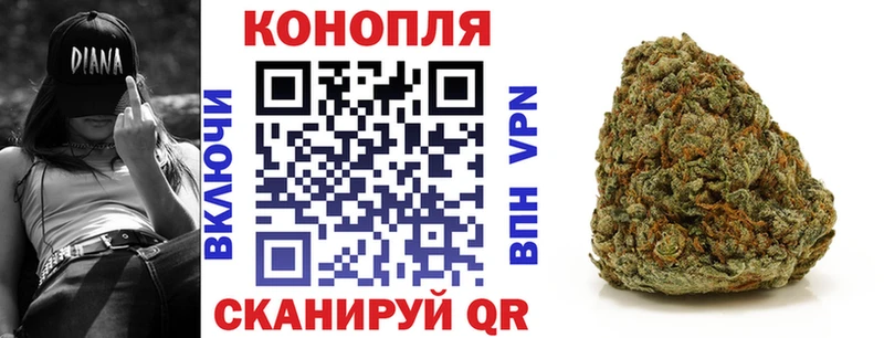 Бошки марихуана гибрид  Грязовец 